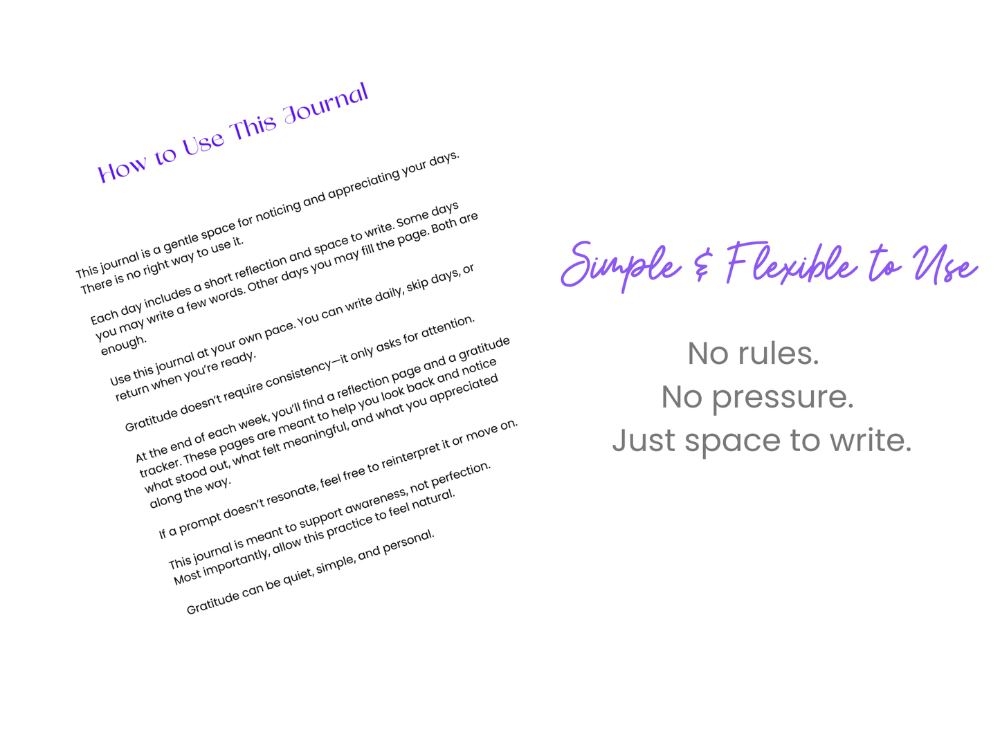Radiant Gratitude Journal: A 30-Day Practice of Noticing and Appreciation